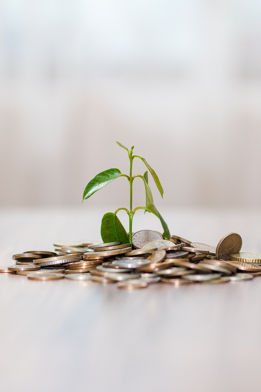Guiding Success: Project Advisory That Takes You Further
